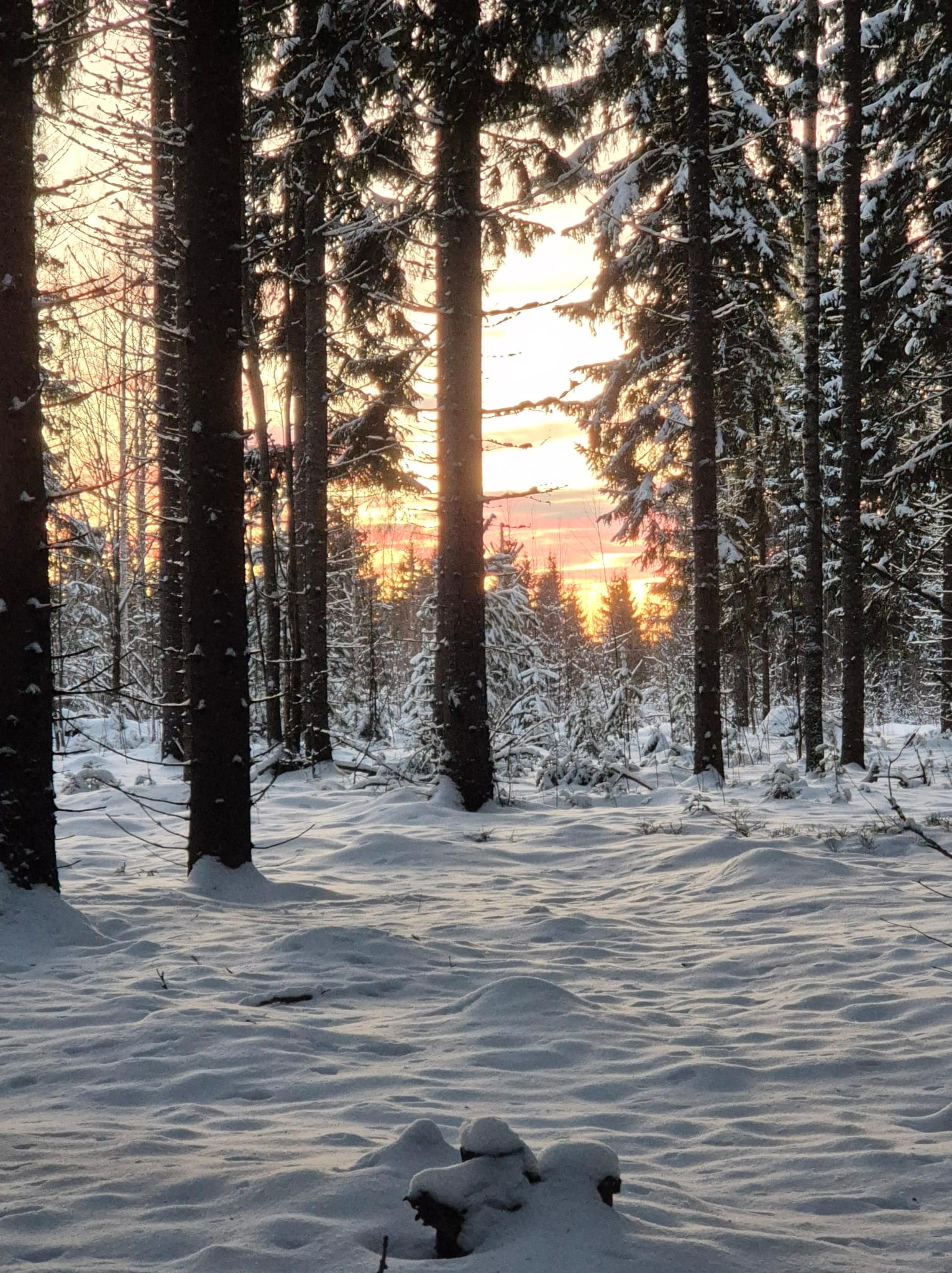 aur lasku IMG-20250113-WA0002